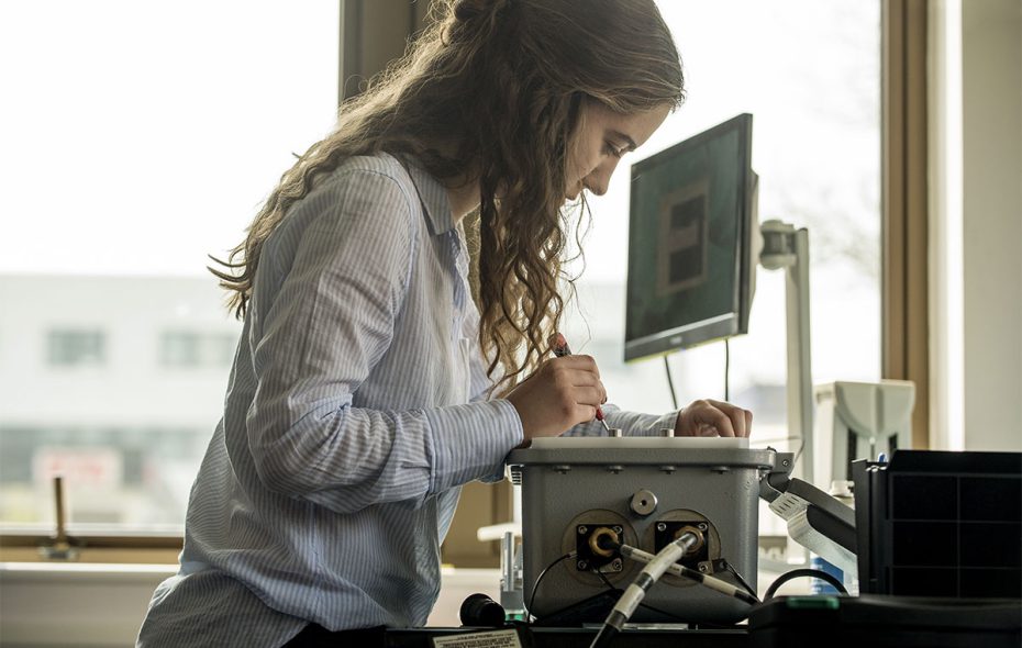 Lady working