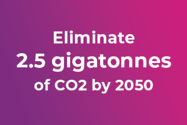 Eliminate 2.5 gigatonnes of CO2 by 2050.